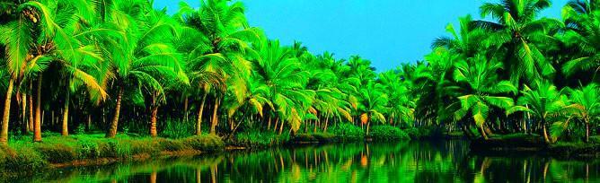 Chaandhni Lake View Alappuzha Exterior foto